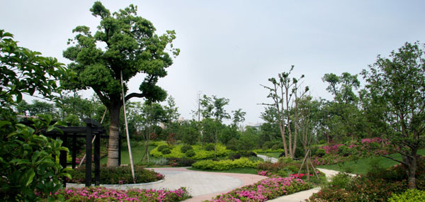 全員牢固樹(shù)立環(huán)保意識(shí) 安全觀(guān)念 持續(xù)發(fā)展
