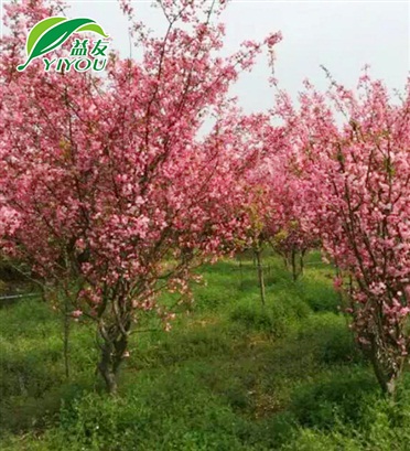 富晟產(chǎn)品