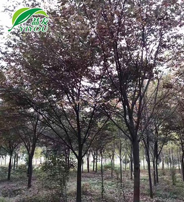 富晟產(chǎn)品