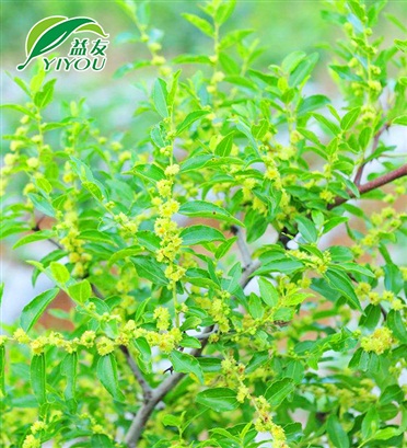 富晟產(chǎn)品