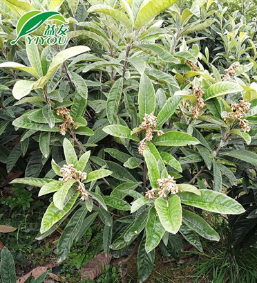 企業(yè)風(fēng)采